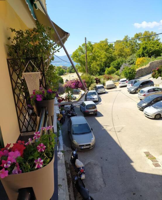 Corfu  Xenofon'S Cozy Apartment מראה חיצוני תמונה